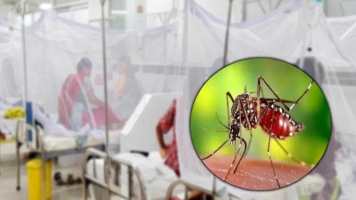 Dengue Deaths Rise as 8 More Die in 24 Hours