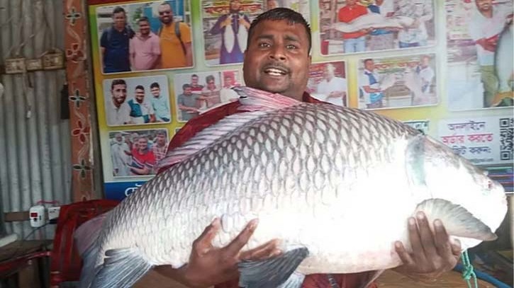 Fisherman Lands Three High-Value Fish Worth Tk 78,000