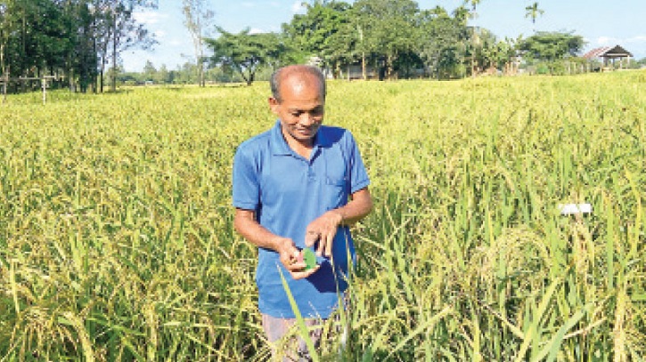 ২৩ প্রজাতির ধান আবিষ্কার করেও স্বীকৃতি পাননি সেন্টু হাজং