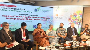 সরকারি প্রতিষ্ঠানগুলোকেই নবায়নযোগ্য জ্বালানিতে রূপান্তরে নেতৃত্ব দিতে হবে : পরিবেশ উপদেষ্টা