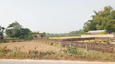 আশঙ্কাজনক হারে কমছে কৃষিজমির পরিমাণ, গভীর উদ্বেগ প্রকাশ কৃষি কর্মকর্তাদের