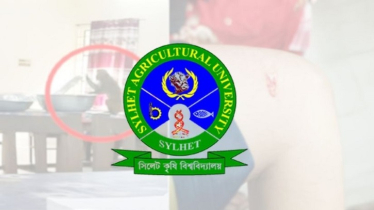 সিকৃবিতে বানরের আক্রমণে ৫ মাসে শতাধিক ছাত্রী আহত