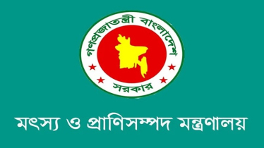 রংপুরে অ্যানথ্রাক্স প্রতিরোধে ৩০ লাখ টিকা প্রয়োগের প্রস্তুতি শুরু