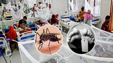 ডেঙ্গুতে ৯ জনের মৃত্যু, হাসপাতালে ভর্তি ১০৪২ জন