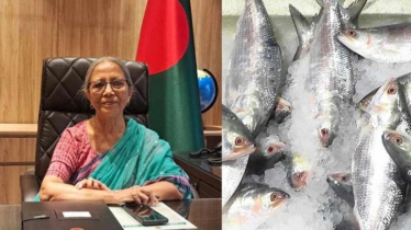 ‘ইলিশ রক্ষায় পুলিশ, নৌবাহিনী ছাড়াও বিমান বাহিনী ড্রোন দিয়ে কাজ করবে’