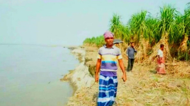 যমুনায় ভেসে গেলো কষ্টে ফলানো ফসল, দিশেহারা চাষি যমুনায় ভেসে গেলো কষ্টে ফলানো ফসল, দিশেহারা চাষি