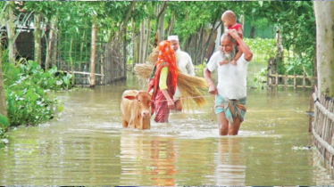 ভারী বৃষ্টি ও উজানের ঢলে উত্তরের চার জেলার বহু মানুষ পানিবন্দি