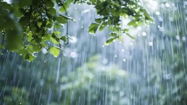 ৫ দিন বৃষ্টির আভাস, দেশের চার সমুদ্রবন্দরে ২ নম্বর দূরবর্তী সতর্কতা সংকেত ৫ দিন বৃষ্টির আভাস, দেশের চার সমুদ্রবন্দরে ২ নম্বর দূরবর্তী সতর্কতা সংকেত