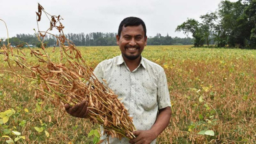 জলবায়ু সহনশীল সয়াবিন চাষে এইচএসবিসি ও সলিডারিডাডের উদ্যোগ