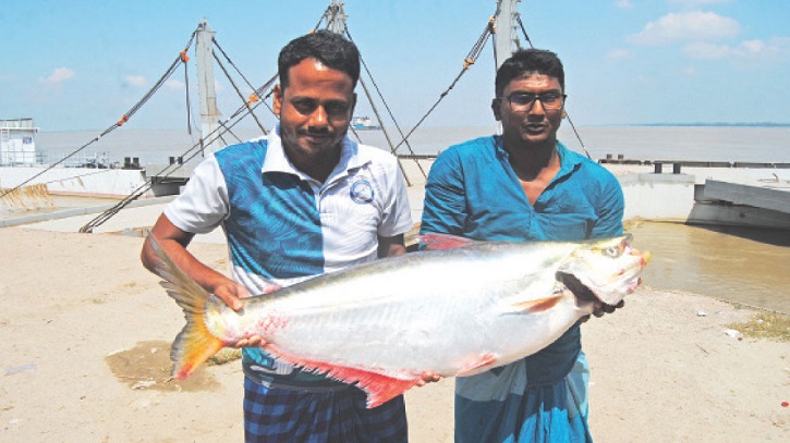 ১৪ কেজি ৫০০ গ্রাম ওজনের ঢাঁই মাছ, বিক্রি ৫৯ হাজার ৪৫০ টাকায় ১৪ কেজি ৫০০ গ্রাম ওজনের ঢাঁই মাছ, বিক্রি ৫৯ হাজার ৪৫০ টাকায়