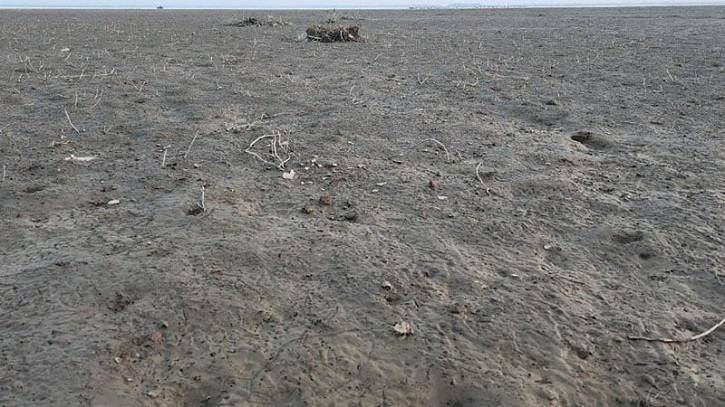 পানির জন্য হাহাকার, ১৯ হাজার বিঘায় বোরো আবাদ ঝুঁকিতে পানির জন্য হাহাকার, ১৯ হাজার বিঘায় বোরো আবাদ ঝুঁকিতে