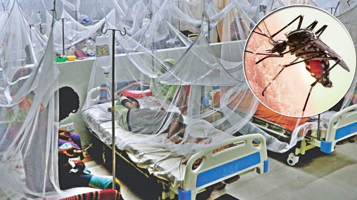 ডেঙ্গুতে আরো ৪ জনের মৃত্যু, হাসপাতালে ভর্তি ৭৮১ জন ডেঙ্গুতে আরো ৪ জনের মৃত্যু, হাসপাতালে ভর্তি ৭৮১ জন