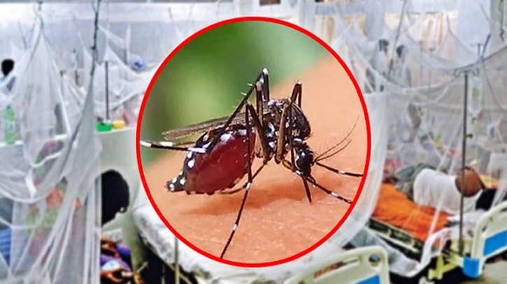 চলতি বছরে ৫০ হাজার ছাড়াল ডেঙ্গু রোগী
