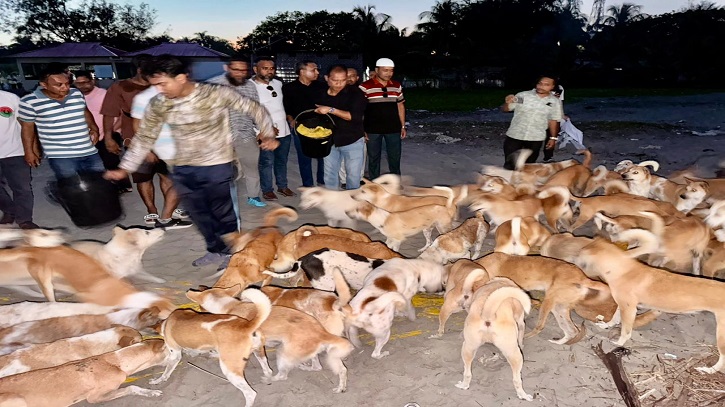 সেন্ট মার্টিনে অভুক্ত প্রাণীর পাশে বাংলাদেশ অ্যানিমেল ওয়েলফেয়ার অ্যাসোসিয়েশন সেন্ট মার্টিনে অভুক্ত প্রাণীর পাশে বাংলাদেশ অ্যানিমেল ওয়েলফেয়ার অ্যাসোসিয়েশন