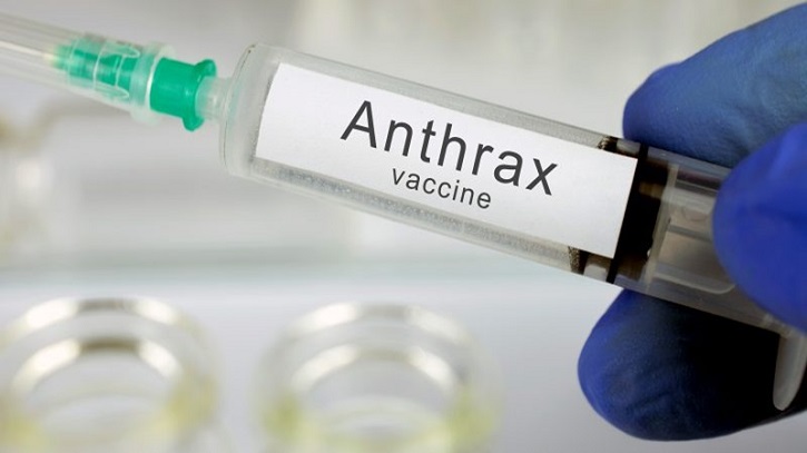 Bribery Alleged in Anthrax Vaccination in Rangpur, Gaibandha Bribery Alleged in Anthrax Vaccination in Rangpur, Gaibandha