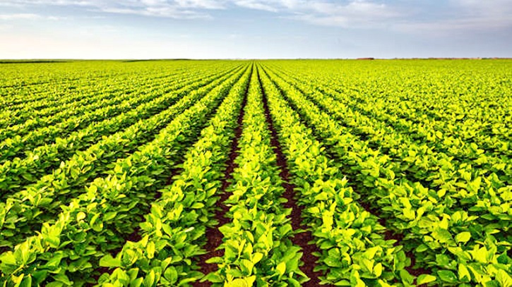 Climate-Smart Soy Project Boosts Coastal Farmers’ Income Climate-Smart Soy Project Boosts Coastal Farmers’ Income