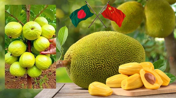 China Eyes Import of Bangladesh’s Jackfruit, Guava China Eyes Import of Bangladesh’s Jackfruit, Guava