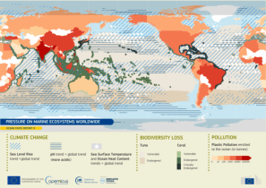 Ocean State Report Finds Climate Crisis Hits All Seas