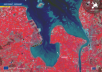 Protecting the Flight Paths: World Migratory Bird Day