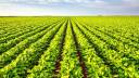 Climate-Smart Soy Project Boosts Coastal Farmers’ Income