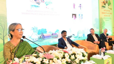 Bangladesh Must Act on Emissions Despite Small Share: Adviser