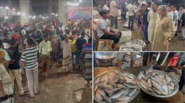 Crowds Flock to Bhanga for Last Hilsa Market Night