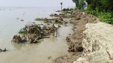 Meghna River Erosion Destroys 200 Homes in Ramgati Meghna River Erosion Destroys 200 Homes in Ramgati