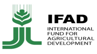 IFAD Workshop Focuses on Cutting Methane from Agriculture