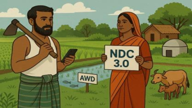 Crops, Livestock, Aquaculture: Realizing Bangladesh’s NDC 3.0