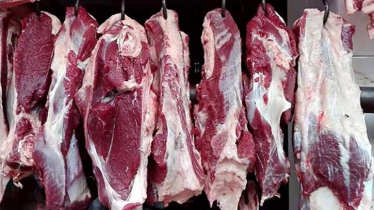Anthrax Fear Grows in Rangpur Amid Meat Trade Irregularities