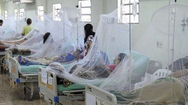 Dengue Deaths Hold at 243 as 510 New Cases Hospitalize in 24 Hrs Dengue Deaths Hold at 243 as 510 New Cases Hospitalize in 24 Hrs