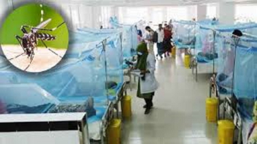 Four More Die from Dengue, Death Toll Reaches 263 Four More Die from Dengue, Death Toll Reaches 263