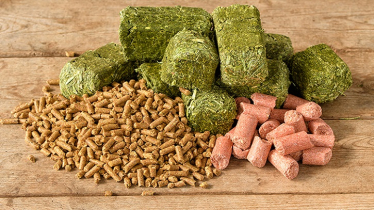 Global Animal Feed Market Set to Hit $58.79B by 2034