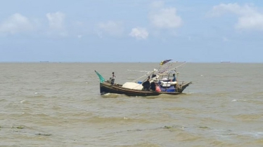 22-Day Hilsa Fishing Ban Begins in Chandpur Rivers