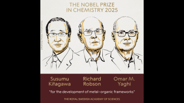 ’Molecular Architecture’ Wins Chemistry Nobel
