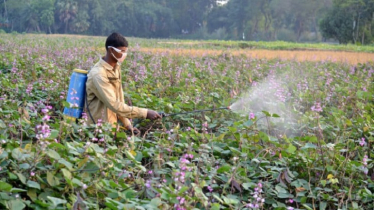 Govt to grant duty exemption on pesticide raw material imports Govt to grant duty exemption on pesticide raw material imports