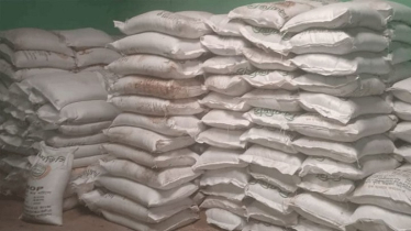 Fertilizer Crisis Deepens Amid Aman Season in Habiganj
