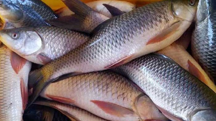 Proper Pond Selection Key to Healthy Fish Farming Proper Pond Selection Key to Healthy Fish Farming