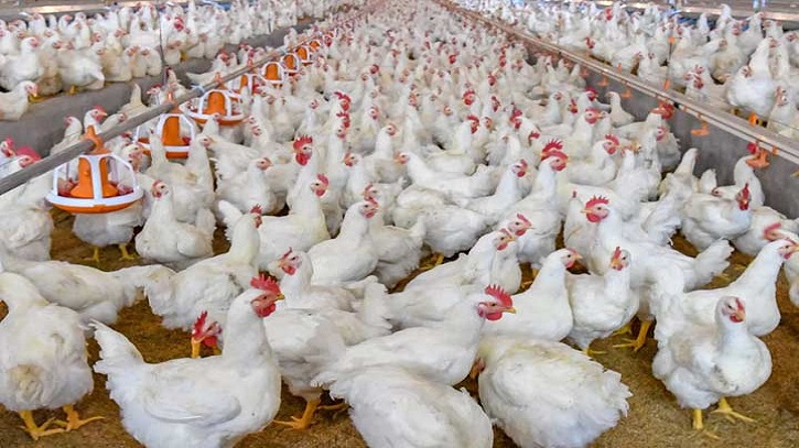 BPA Threaten November Shutdown Over Syndicate Price Hikes BPA Threaten November Shutdown Over Syndicate Price Hikes