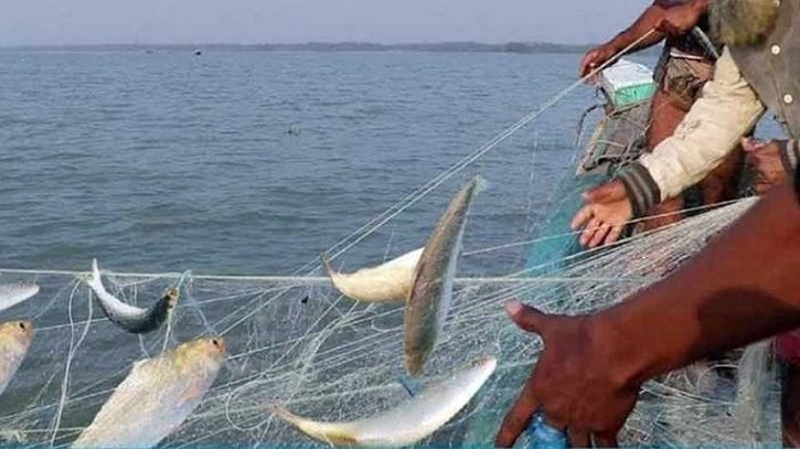 Meghna’s Hilsa Breeding Grounds Fall to Political Control