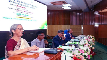 দুধ আমদানি কমাতে সারাদেশে চিলিং পয়েন্ট স্থাপন করা হবে