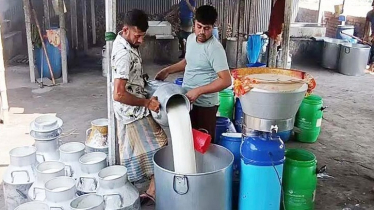 দুধের মান নিয়ন্ত্রণ থেকে খামারিদের সহায়তা, সব দেখবে ডেইরি বোর্ড