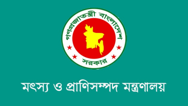 ডেইরি উন্নয়ন বোর্ড গঠনে প্রজ্ঞাপন জারি