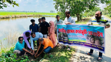দুই হাজার তালবীজ রোপণের উদ্যোগ তাড়াশে