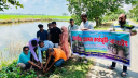 দুই হাজার তালবীজ রোপণের উদ্যোগ তাড়াশে