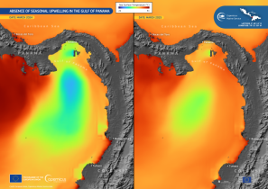 Gulf of Panama misses seasonal upwelling in 2025