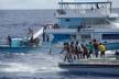 Global Ocean Biodiversity Treaty to Take Effect in 2026