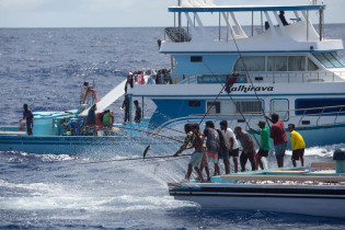 Global Ocean Biodiversity Treaty to Take Effect in 2026