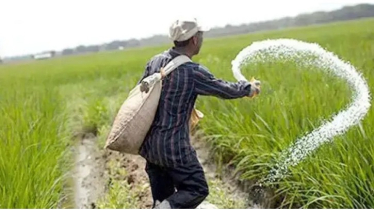 কৃষকের চাহিদা মেটাতে দুই লাখ ১০ হাজার টন সার ক্রয় করবে সরকার