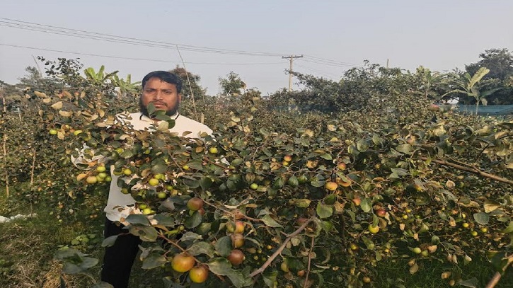 ইউটিউব দেখে কুল চাষে ভাগ্য বদল করেছেন মকবুল